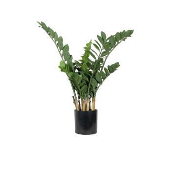 Zamio artificiel 90cm - Arbre artificiel - Atmosphère Green