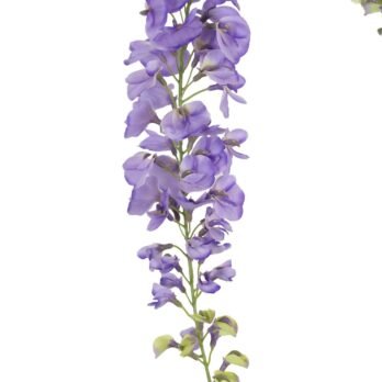 Branche de glycine artificielle de 75cm - Atmosphère Green