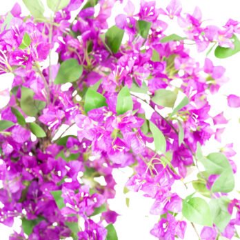 Arbre de bougainvillier artificiel de 150cm