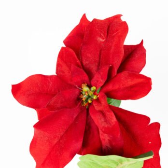 Tige de poinsettia artificiel rouge de 61cm