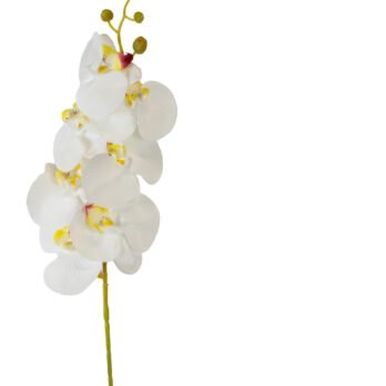 Orchidée 7 fleurs artificielle crème de 92cm - Atmosphère Green