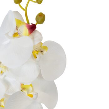 Orchidée 7 fleurs artificielle crème de 92cm - Atmosphère Green