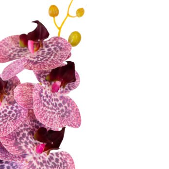 Orchidée 7 fleurs artificielle lavande de 92cm - Atmosphère Green