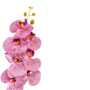 Orchidée 7 fleurs artificielle rose de 92cm - Atmosphère Green