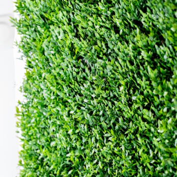 Mur végétal artificiel de buisson - mur végétal - Atmosphère Green