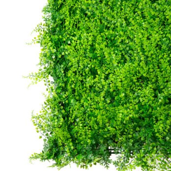 Mur végétal artificiel de fougère - Atmosphère Green