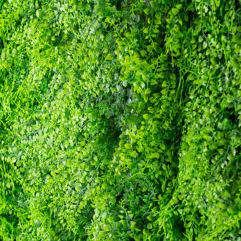 Mur végétal artificiel de fougère - Atmosphère Green