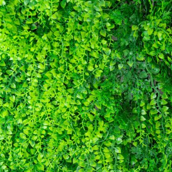 Mur végétal artificiel de fougère - Atmosphère Green