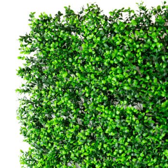 Mur végétal artificiel de lentisc - Atmosphère Green