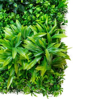 Mur végétal artificiel de liseron blanc - Atmosphère Green