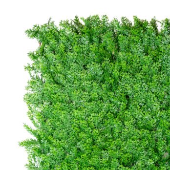 Mur végétal artificiel de thuya - Atmosphère Green