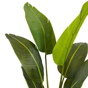 Arbre du voyageur artificiel - arbre artificiel - Atmosphère Green