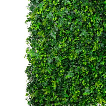 Mur végétal artificiel de lierre - mur végétal - Atmosphère Green