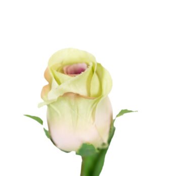 Rose bouton artificielle verte - Atmosphère Green