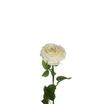 Tige de rose bea artificielle white de 58cm - Atmosphère Green