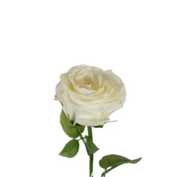 Tige de rose bea artificielle white de 58cm - Atmosphère Green