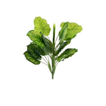 Buisson de calathea artificiel de 45 cm - Atmosphère Green