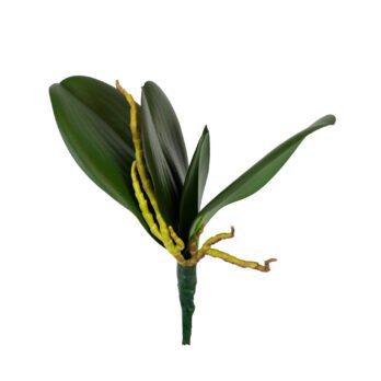 Orchidée artificielle à 4 feuilles - Atmosphère Green