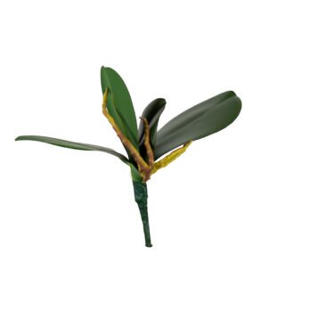 Orchidée artificielle à 4 feuilles - Atmosphère Green