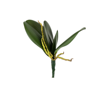 Orchidée artificielle à 4 feuilles - Atmosphère Green