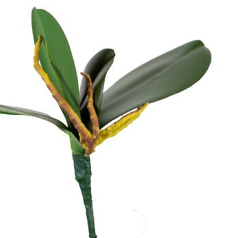 Orchidée artificielle à 4 feuilles - Atmosphère Green
