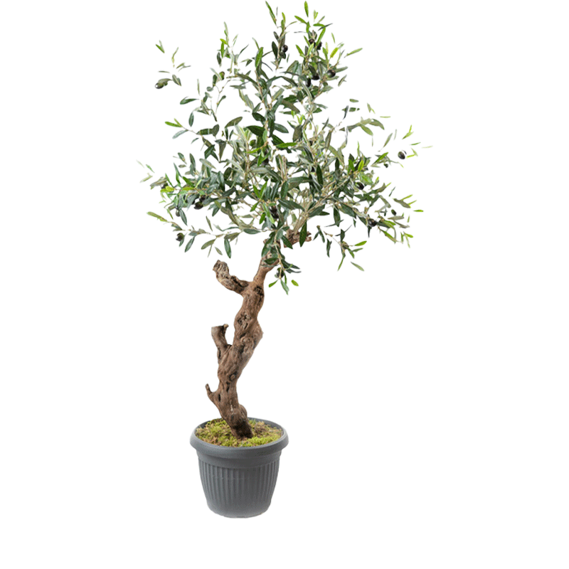 Olivier artificiel en pied de vigne - Arbre artificiel - Atmosphère Green
