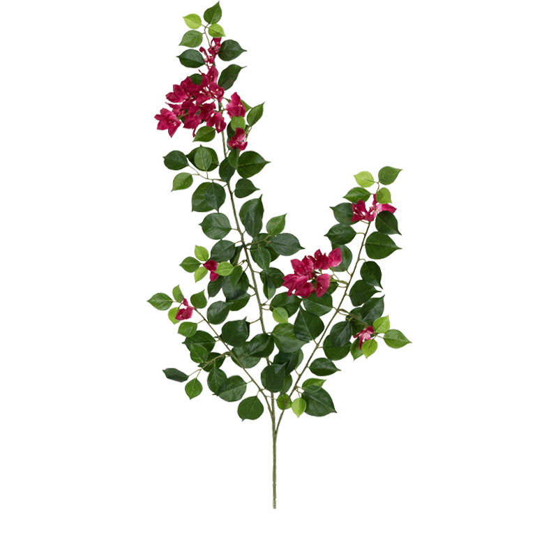 Branche de bougainvillier de 83cm - Atmosphère Green
