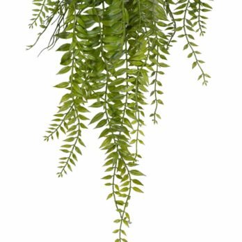 Chute de ruscus artificiel de 126cm - Atmosphère Green