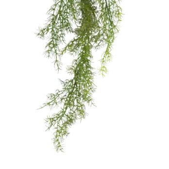 Chute d'asparagus artificiel de 105CM - Atmosphère Green