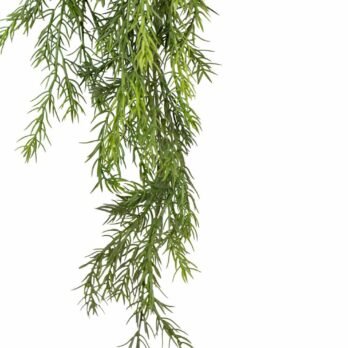 Chute d'asparagus artificiel de 110CM - Atmosphère Green
