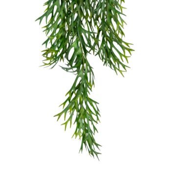 Chutes de platycerium artificiel de 102cm - Atmosphère Green